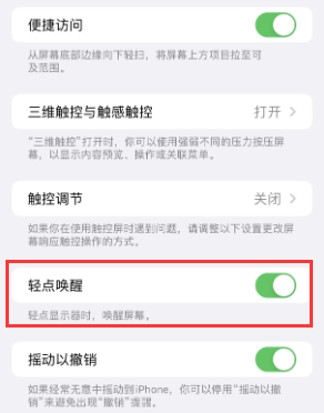 咸丰苹果授权维修站分享iPhone轻点无法唤醒怎么办 