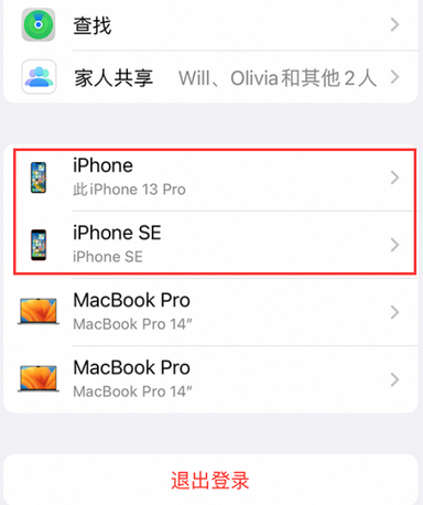 咸丰苹咸丰果维修网点分享iPhone如何查询序列号