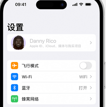 咸丰appleID维修服务iPhone设置中Apple ID显示为灰色无法使用 