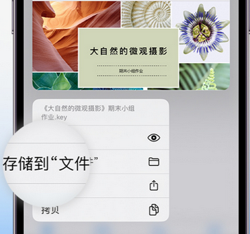 咸丰apple维修中心分享iPhone文件应用中存储和找到下载文件