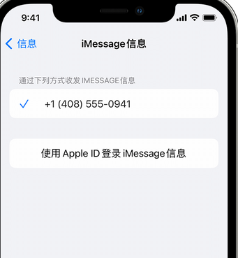 咸丰apple维修iPhone上无法正常发送iMessage信息