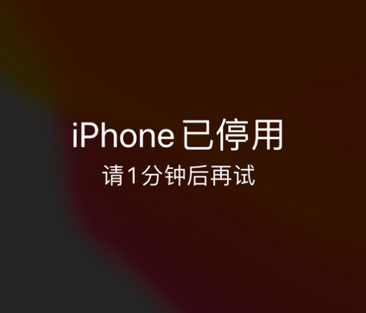 咸丰苹果手机维修分享:iPhone 显示“不可用”或“已停用”怎么办？还能保留数据吗？ 