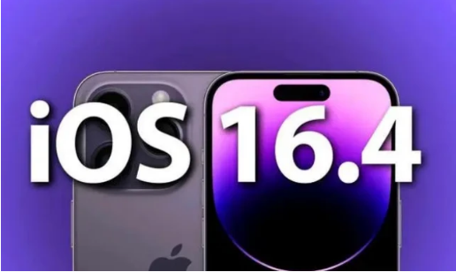 咸丰苹果14维修分享：iPhone14可以升级iOS16.4beta2吗？ 