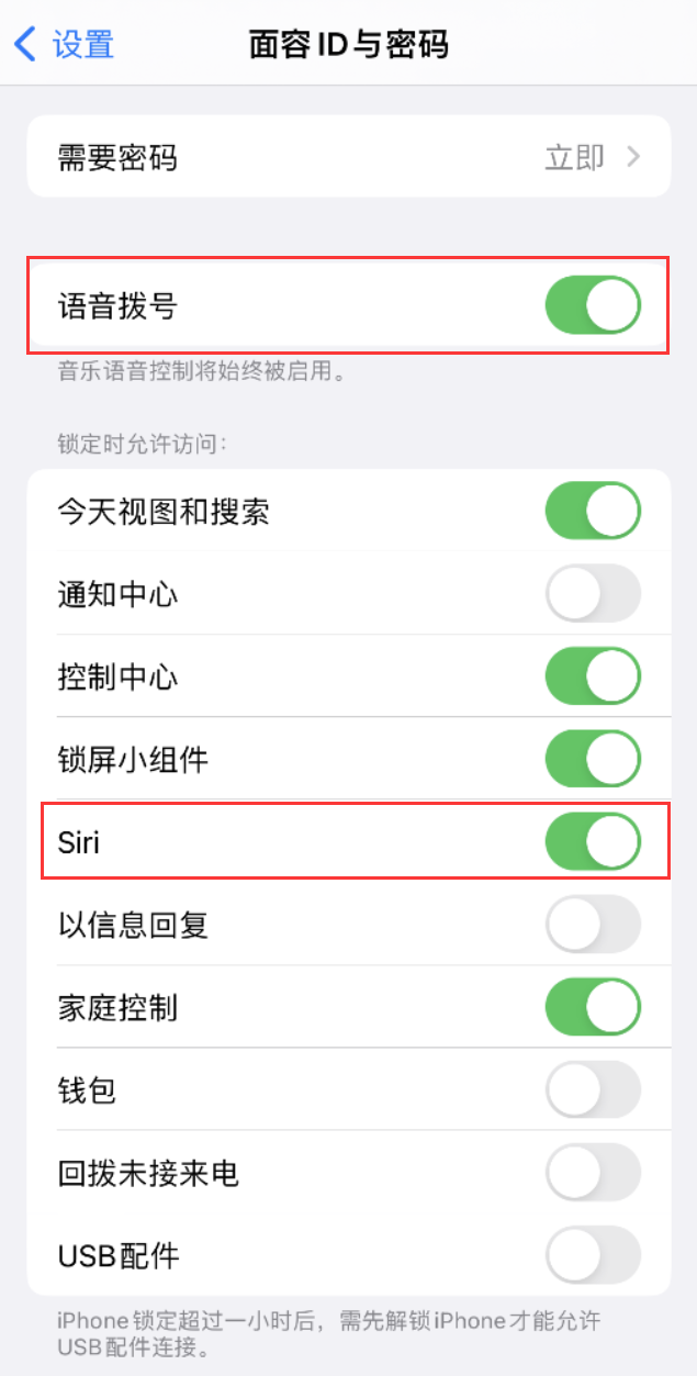 咸丰苹果维修网点分享不解锁 iPhone 的情况下通过 Siri 拨打电话的方法 