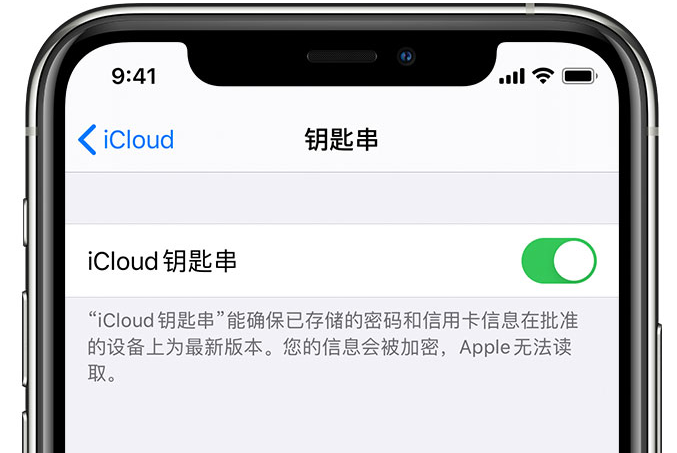 咸丰苹果手机维修分享在 iPhone 上开启 iCloud 钥匙串之后会储存哪些信息 