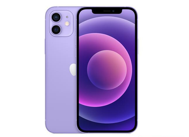 咸丰苹果手机维修分享现阶段要不要入手紫色版iPhone12 