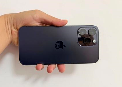 咸丰苹果维修点分享iPhone 14 Pro Max黑屏少见故障盘点 